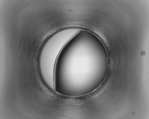 X0000091210681200708091116