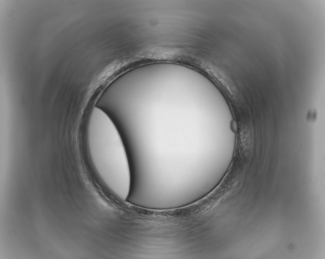 X0000091210682200708091116