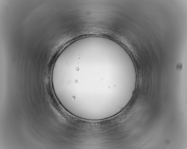X0000091210683200708091116
