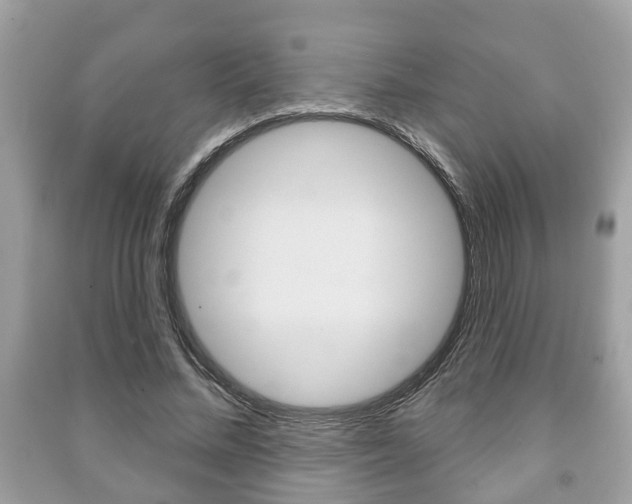 X0000091210684200708091116