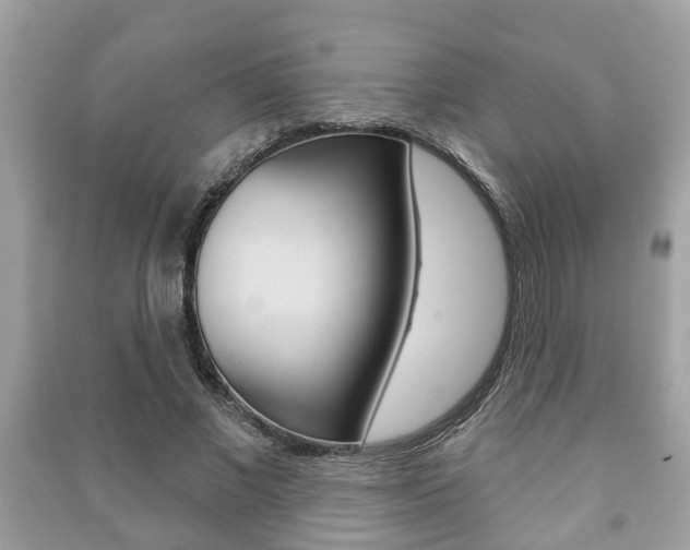 X0000091210685200708091116