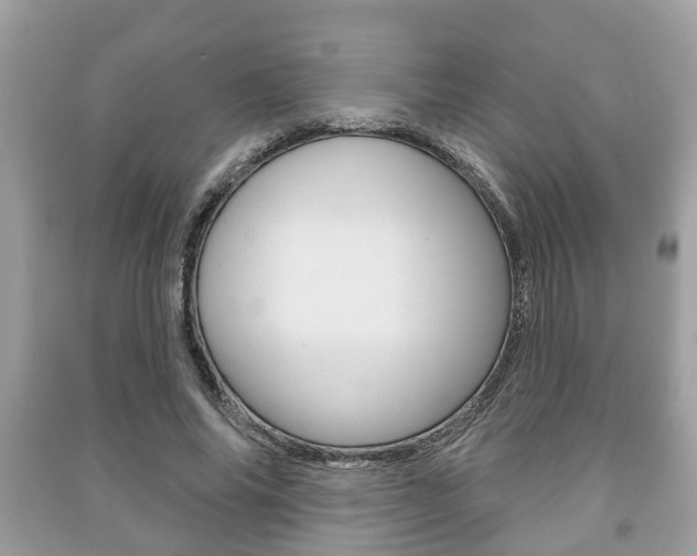 X0000091210686200708091116