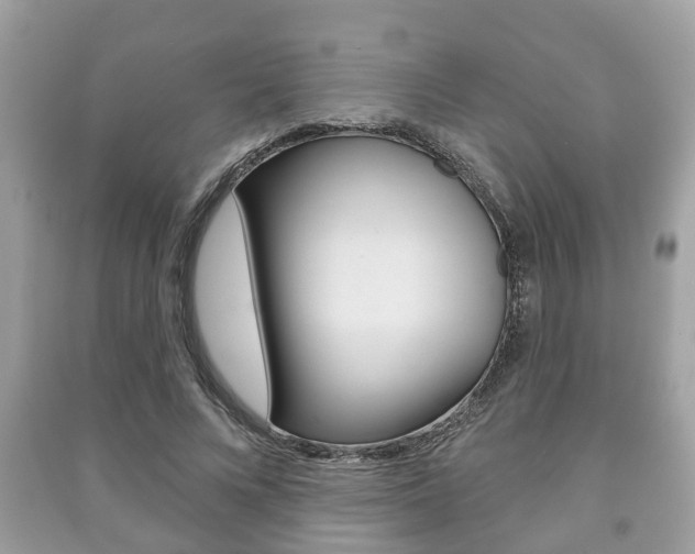 X0000091210688200708091116