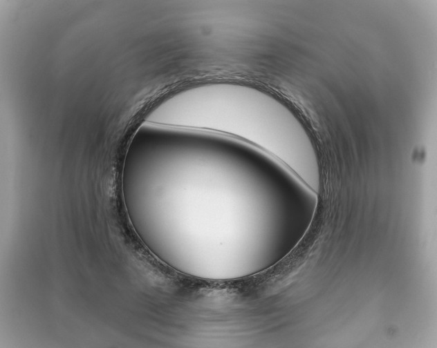 X0000091210689200708091116