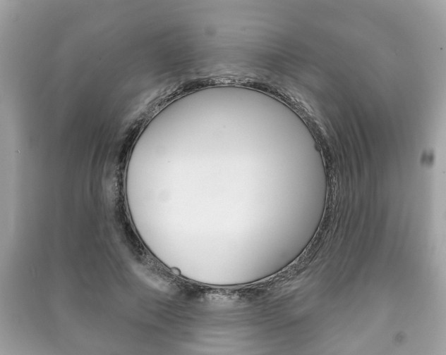 X0000091210690200708091116