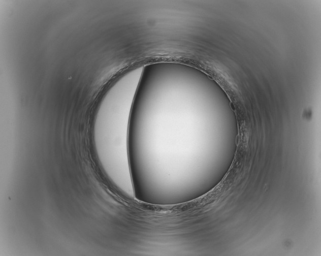 X0000091210692200708091116