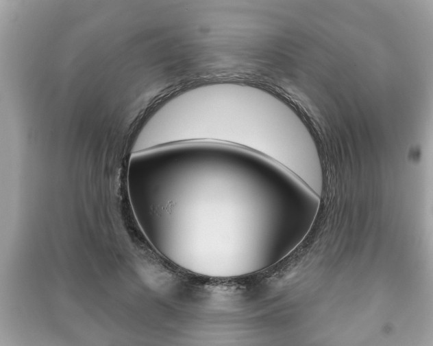X0000091210693200708091116
