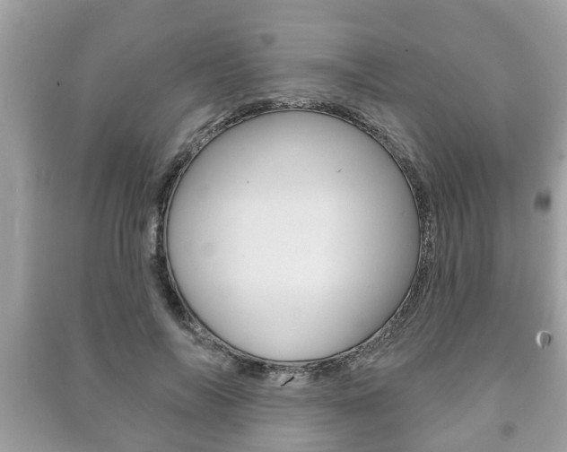 X0000091210694200708091116