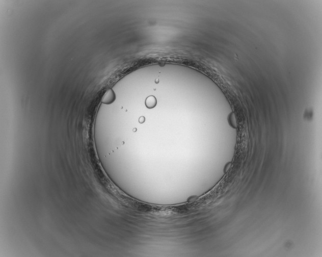 X0000091210695200708091116