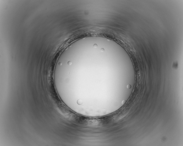 X0000091210698200708091116