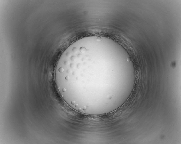 X0000091210702200708091116