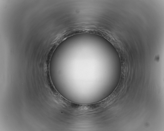 X0000091210704200708091116