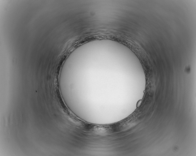 X0000091210706200708091116