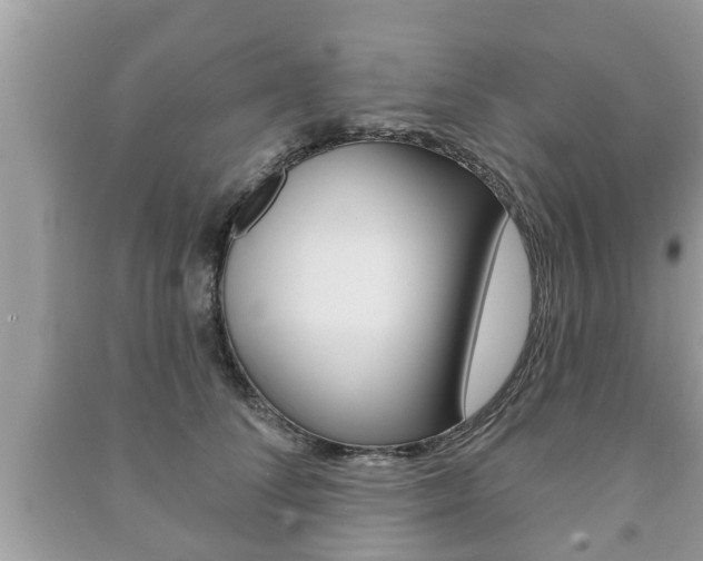 X0000091210708200708091116
