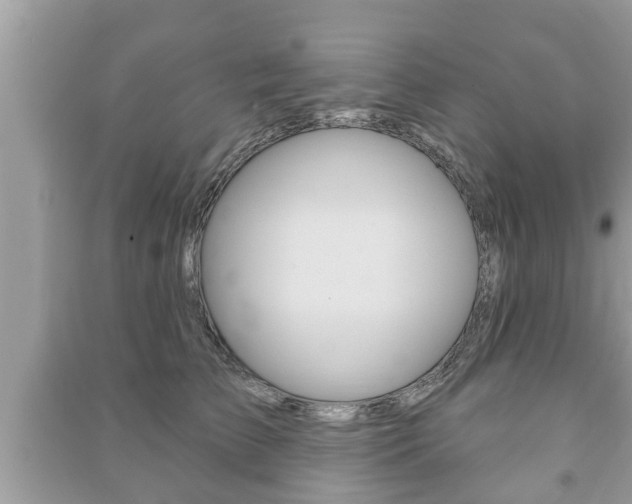 X0000091210709200708091116