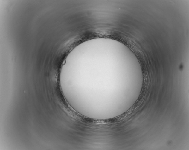 X0000091210710200708091116
