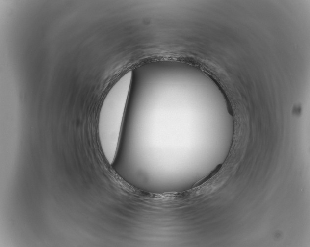 X0000091210720200708091115