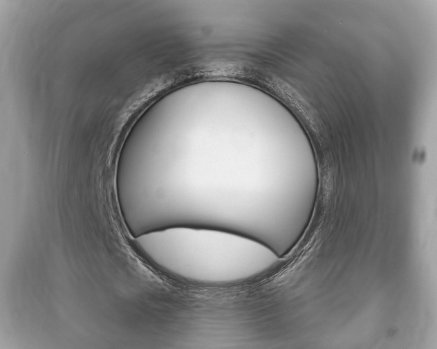 X0000091210721200708091115