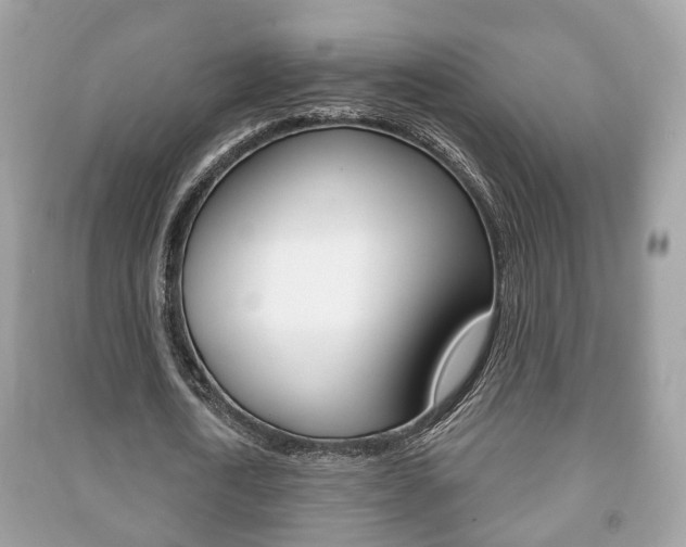 X0000091210722200708091115