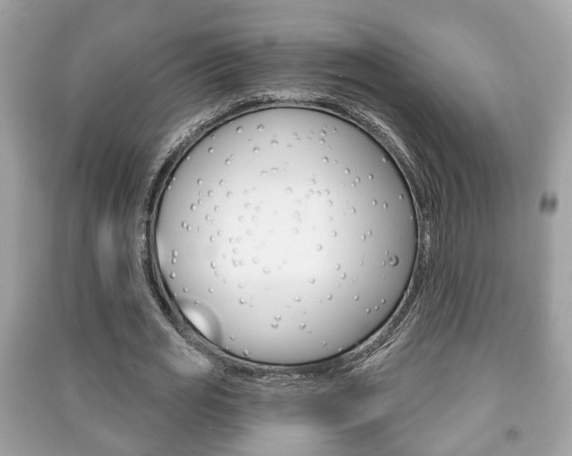 X0000091210725200708091115