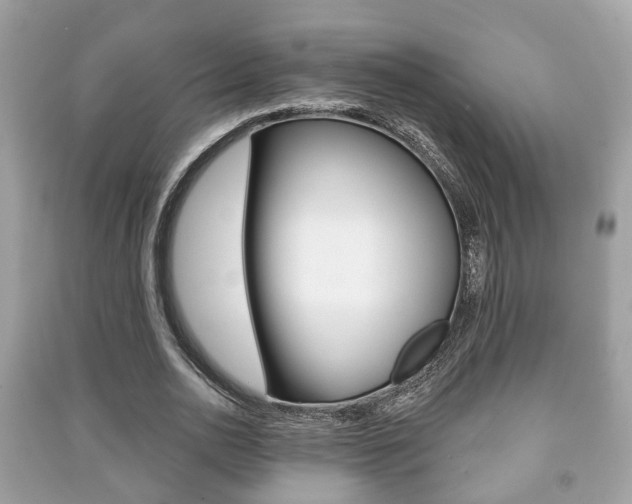 X0000091210726200708091115