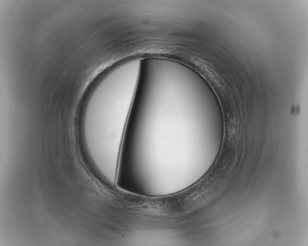 X0000091210727200708091115