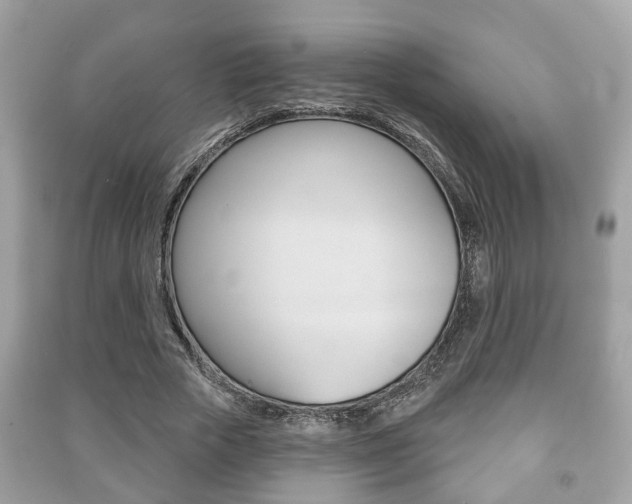 X0000091210729200708091115