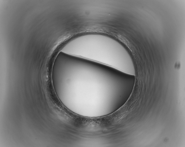 X0000091210731200708091115