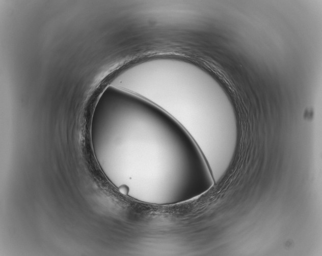 X0000091210732200708091115