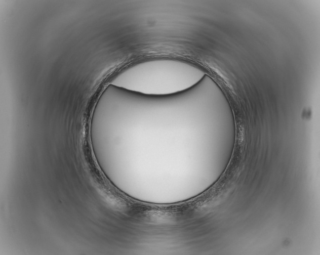 X0000091210733200708091115
