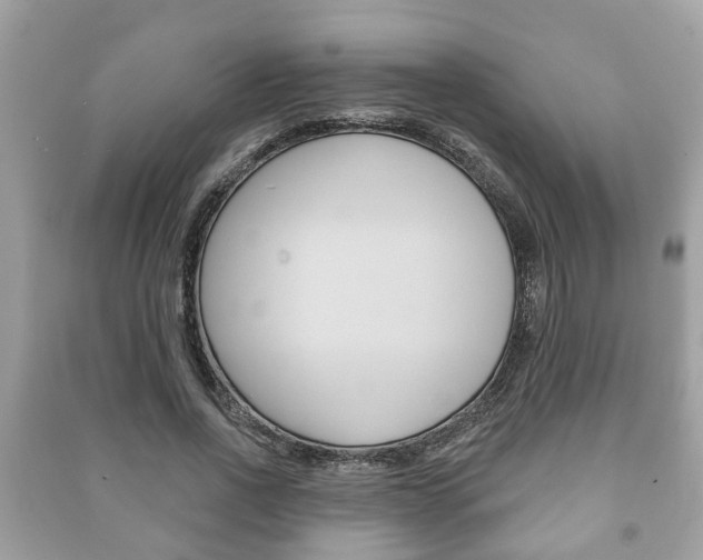 X0000091210734200708091115