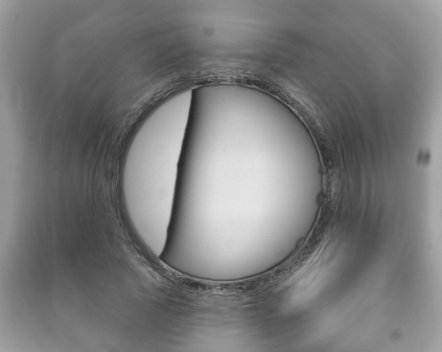 X0000091210737200708091115