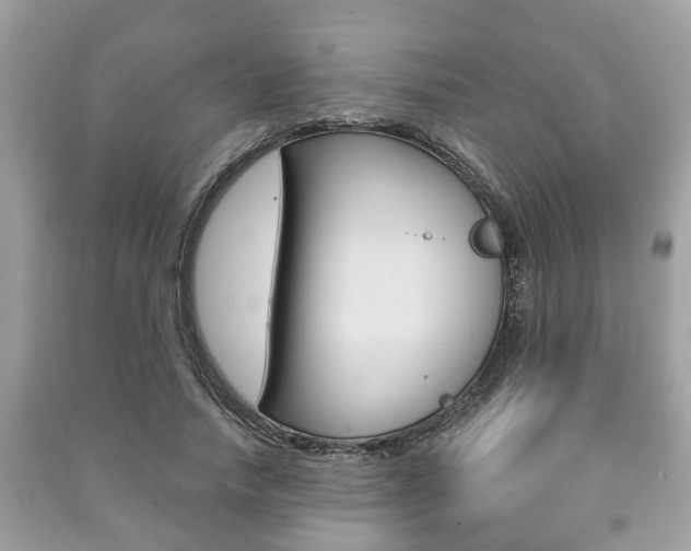 X0000091210738200708091115