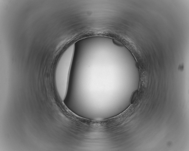 X0000091210740200708091115