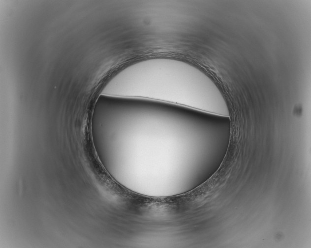 X0000091210742200708091115