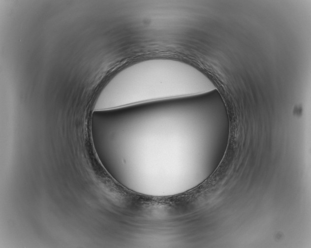 X0000091210743200708091115