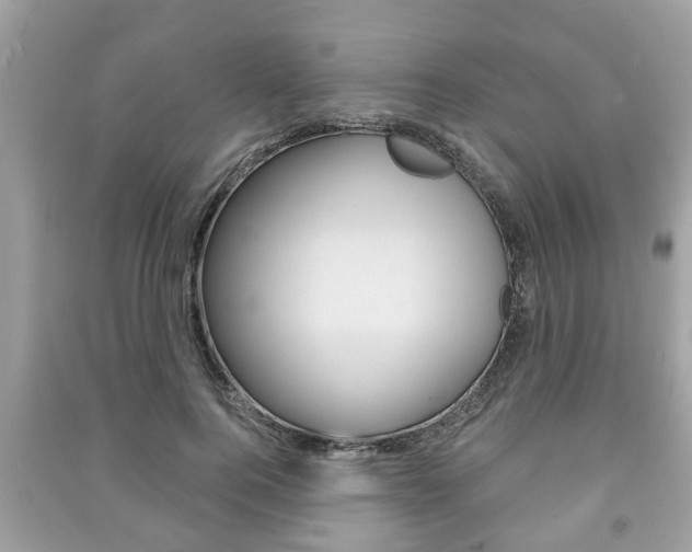 X0000091210744200708091115