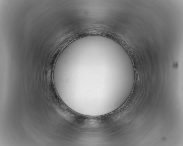 X0000091210745200708091115