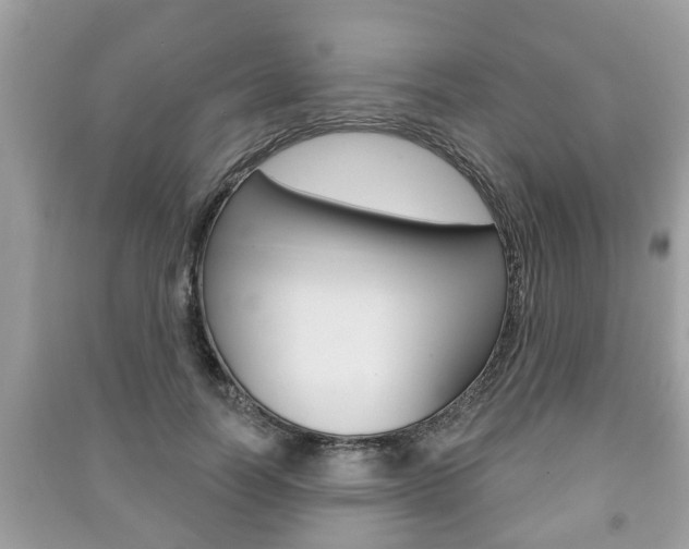X0000091210746200708091115