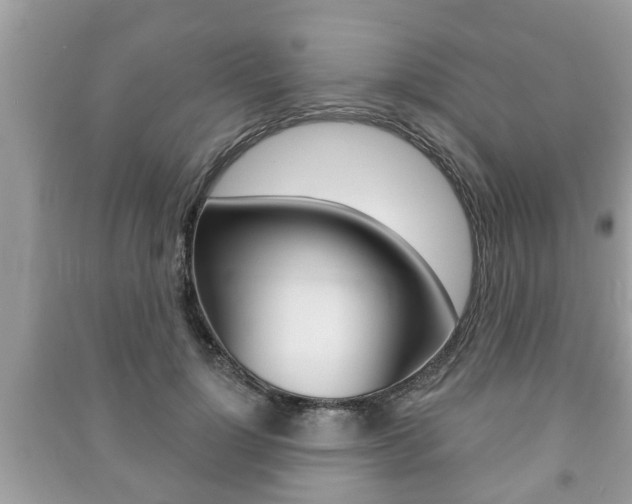 X0000091210748200708091115