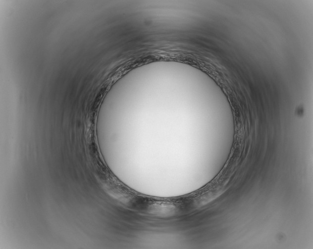 X0000091210749200708091115