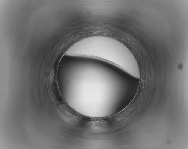 X0000091210752200708091115