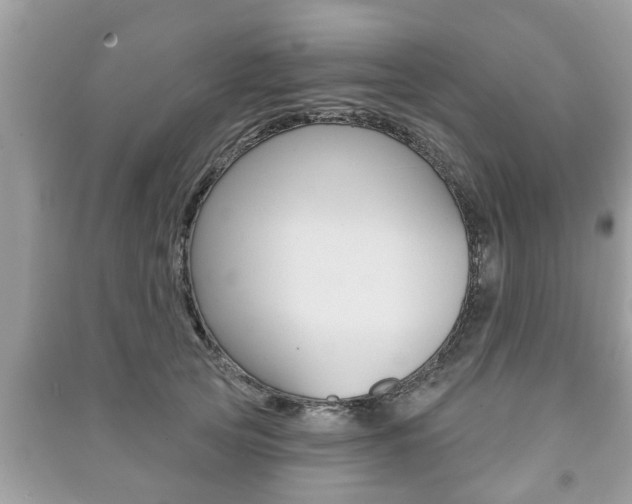 X0000091210753200708091115