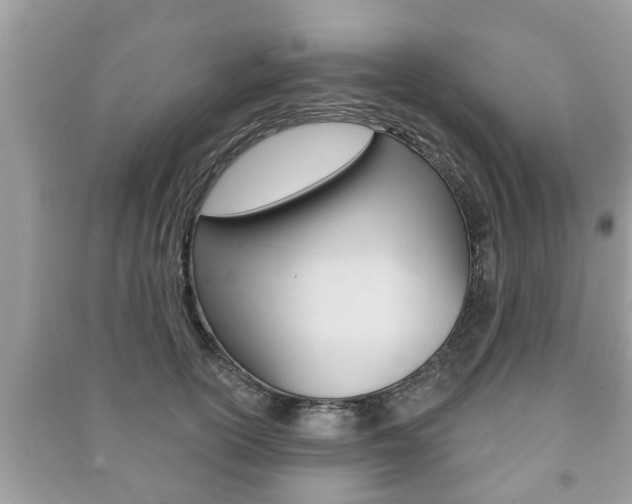 X0000091210754200708091115