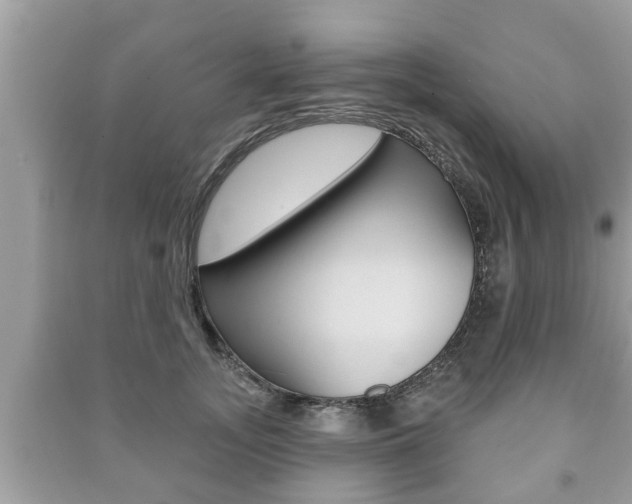 X0000091210755200708091115