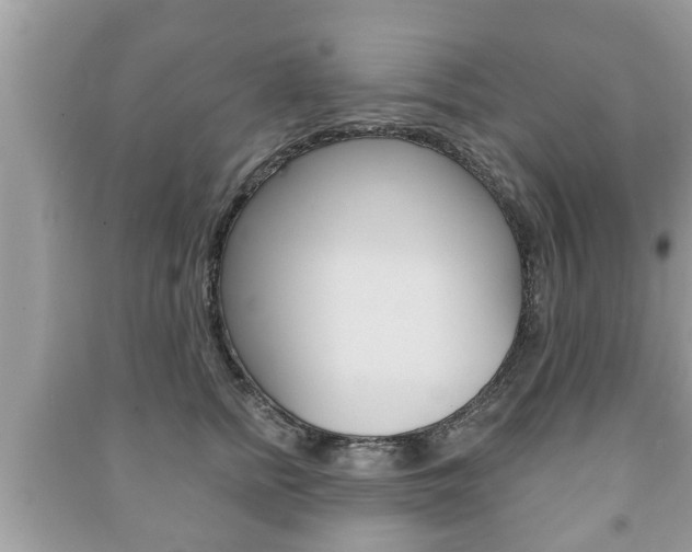 X0000091210758200708091115