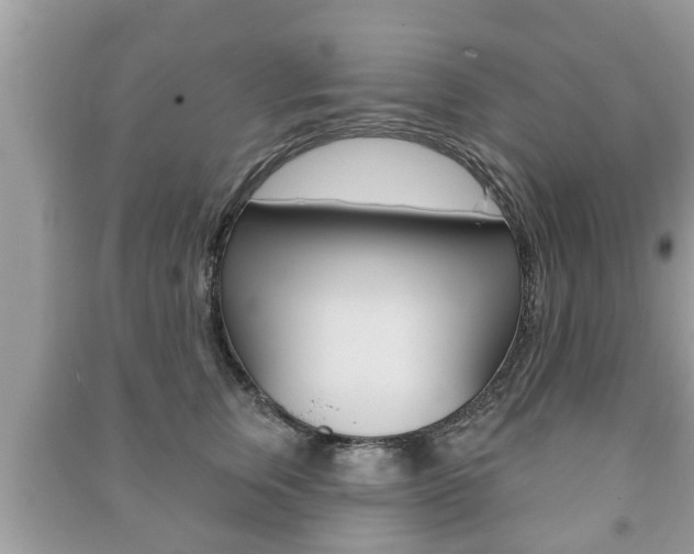 X0000091210759200708091115