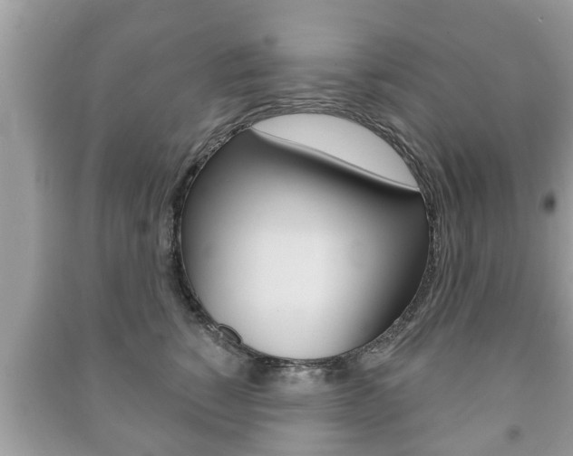 X0000091210760200708091115