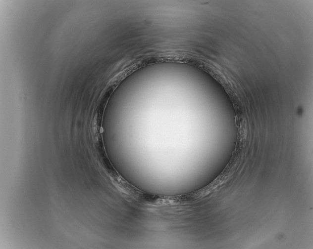 X0000091210764200708091115