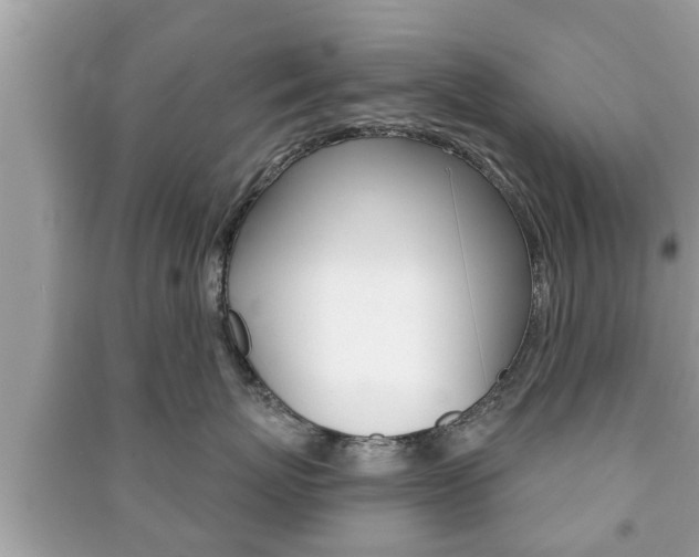 X0000091210767200708091115
